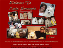 Tablet Screenshot of kenjosamoyeds.com